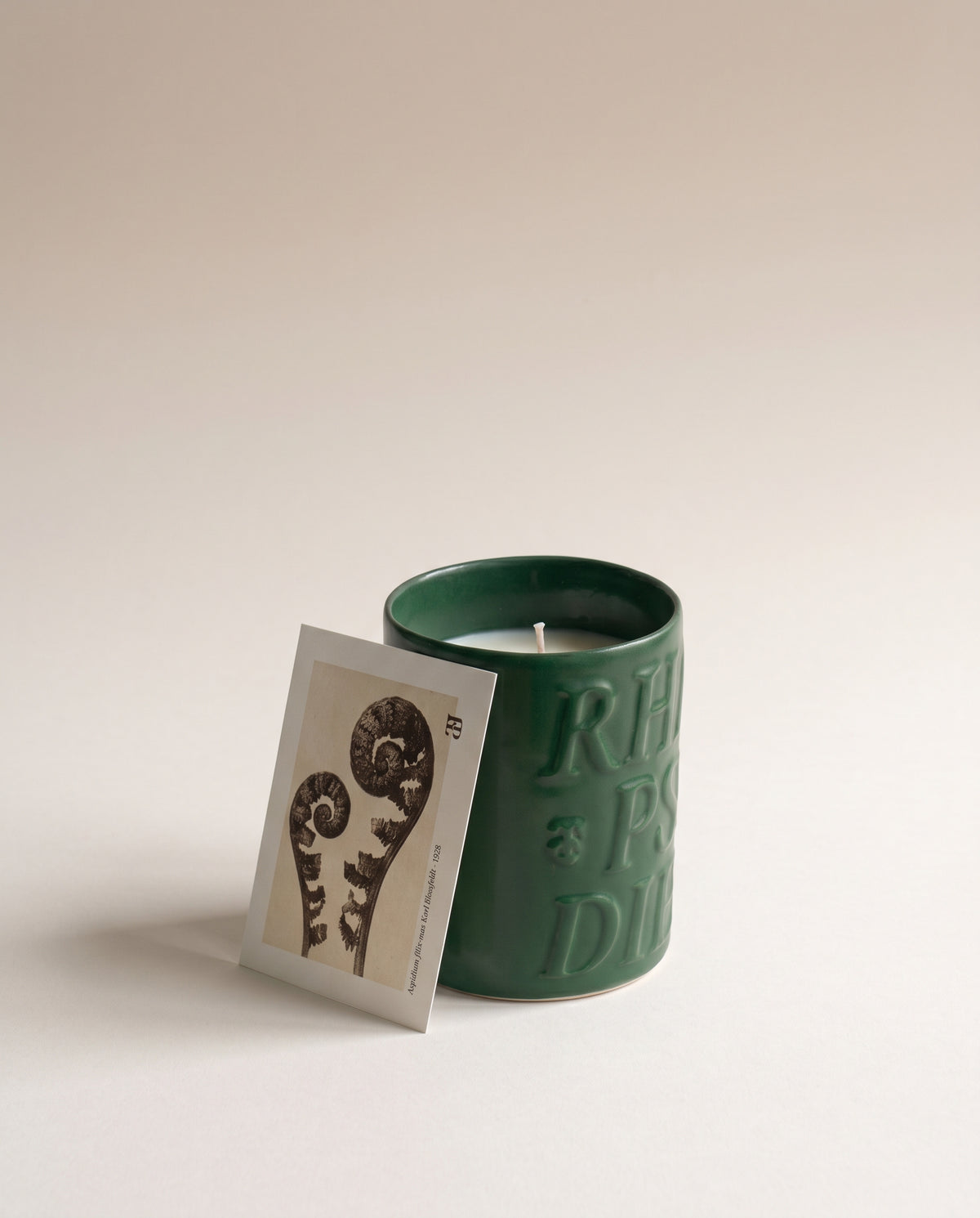 Bougie Mousse dans sa céramique émaillée vert profond, avec le feuillet de la photographie de Karl Blossfeldt
